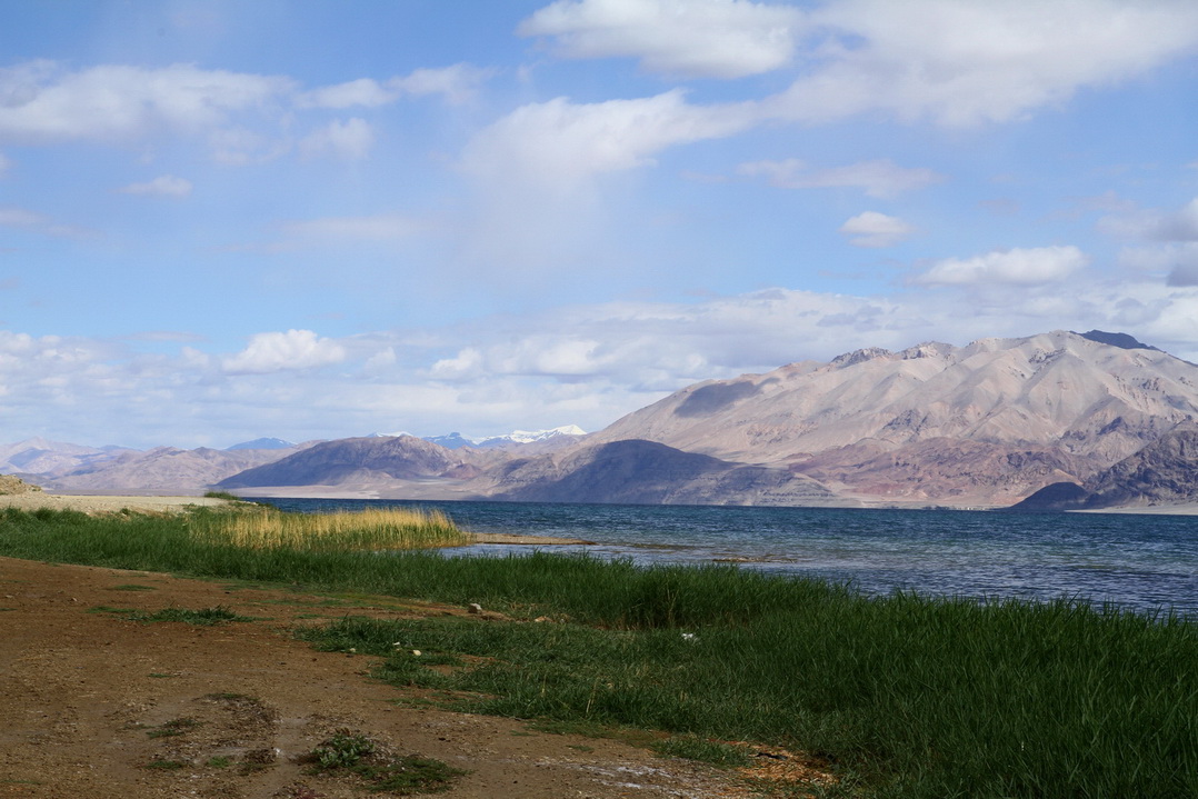 img_7890.jpg
