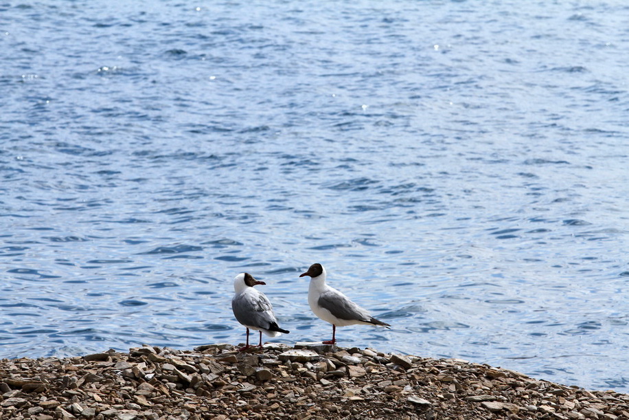 img_7934.jpg