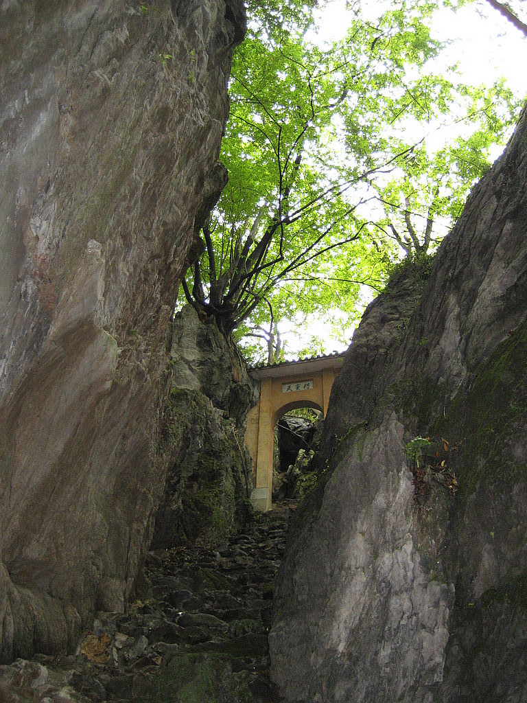 img_4146.jpg