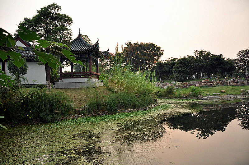 dsc_0150_.jpg