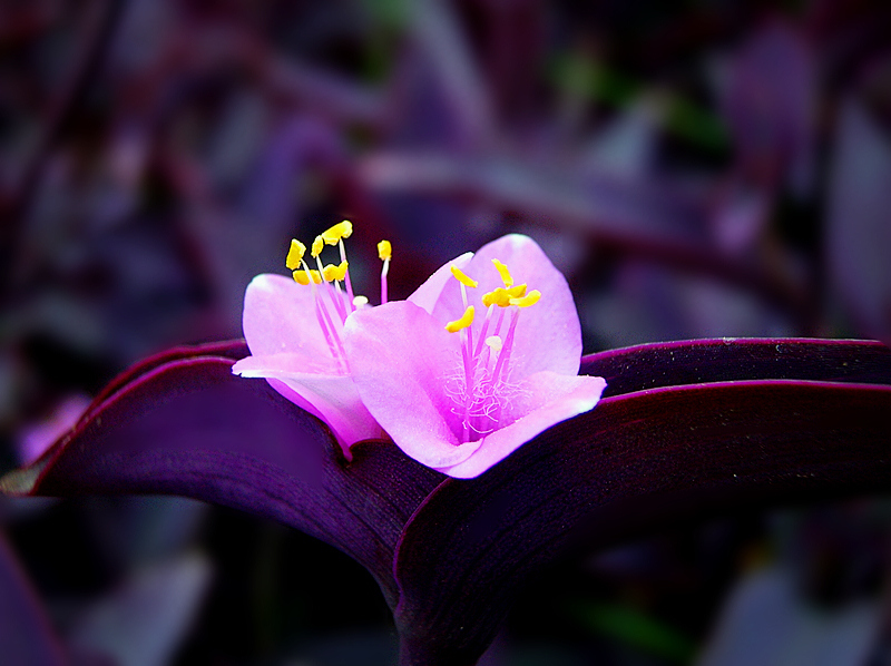 dscn0930_.jpg