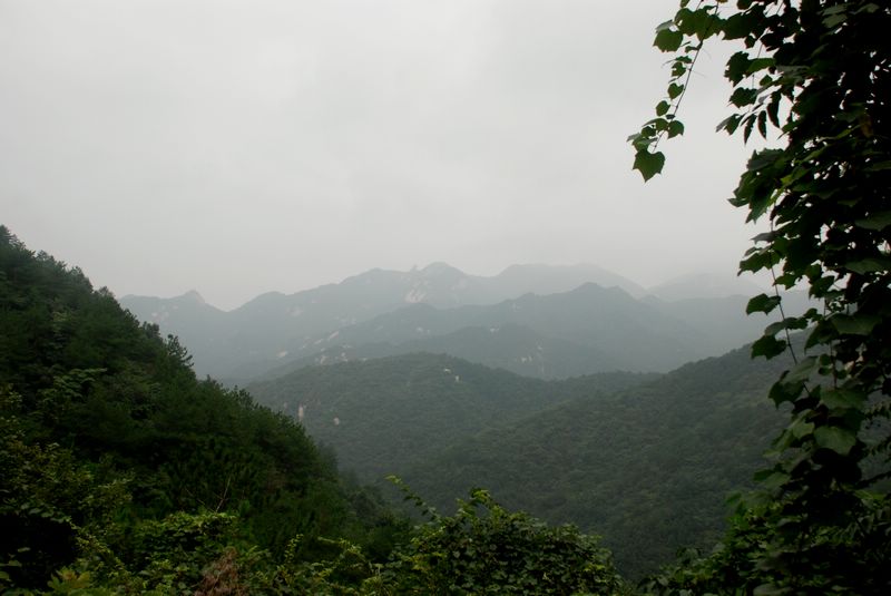 dsc_8121.jpg