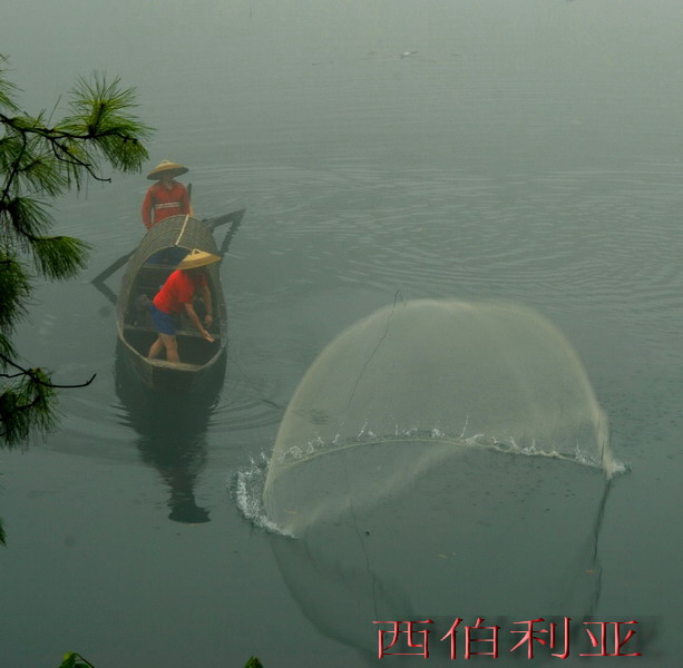 dsc_0070_СС.jpg