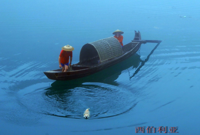 dsc_0117_СС.jpg