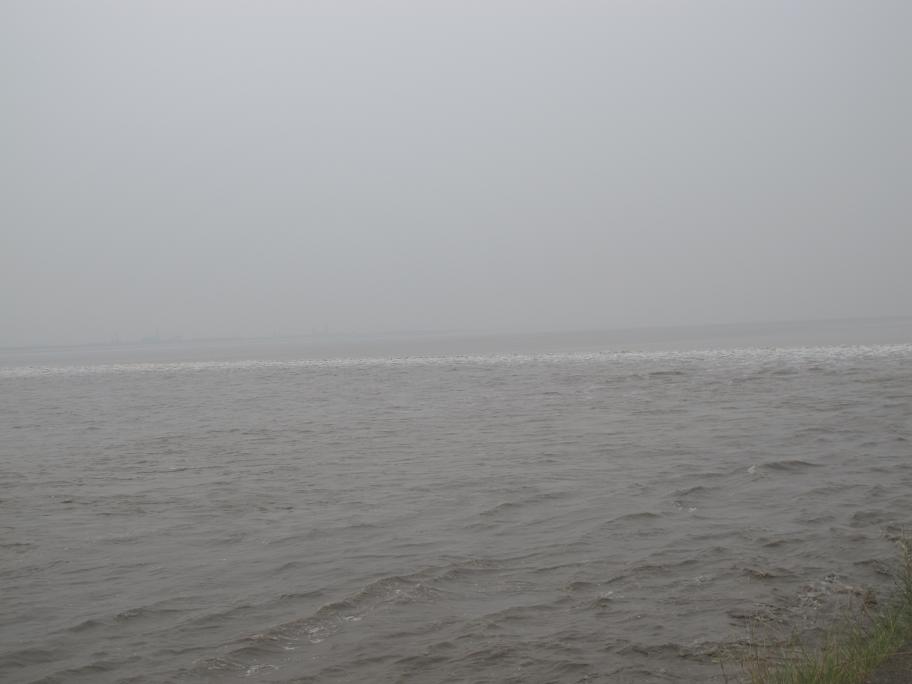 img_8647.jpg