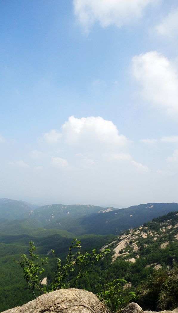 neo_img_dsc04413.jpg