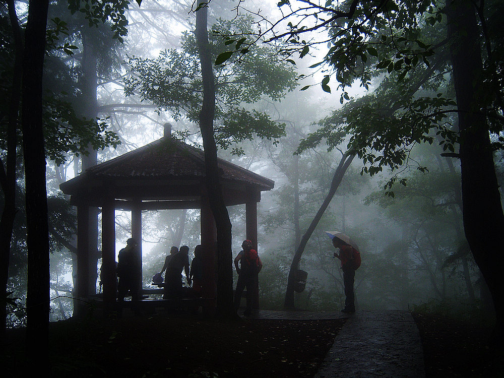 100_4599.jpg