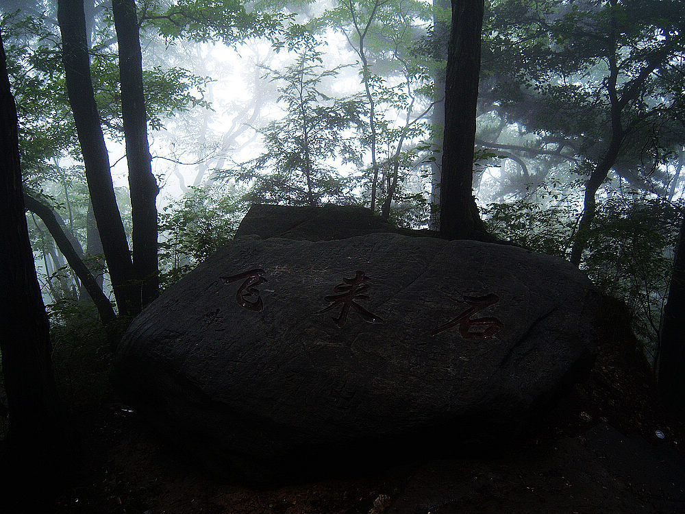 100_4613.jpg