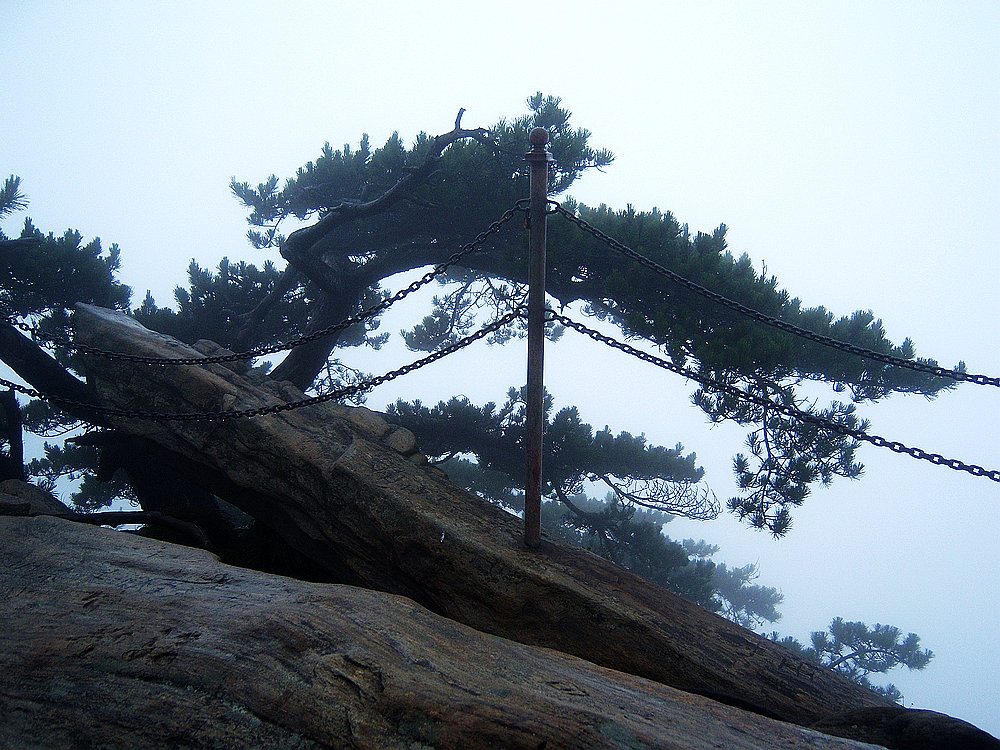 100_4636.jpg