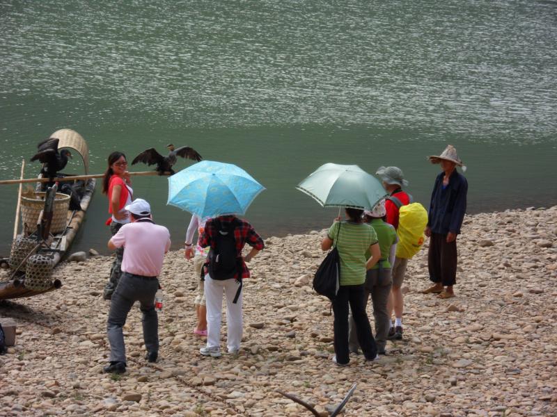 sdc10293.jpg