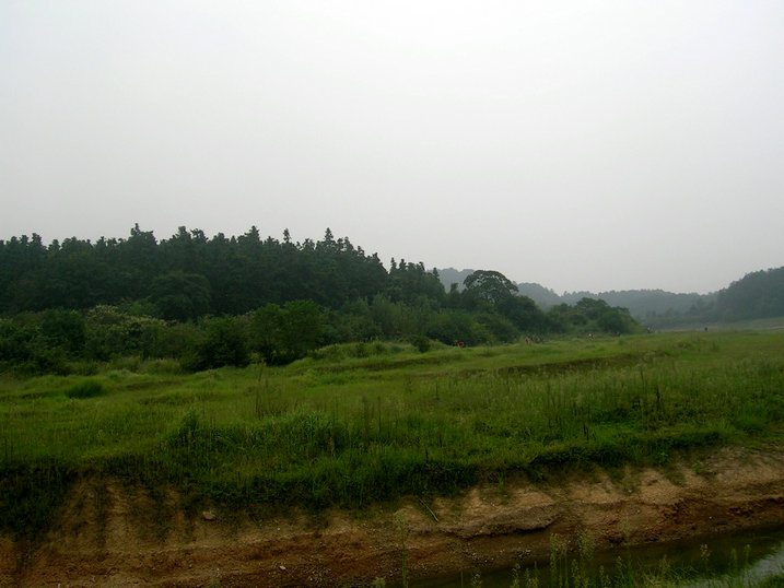 68.jpg