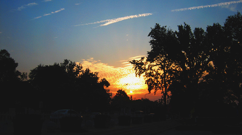 img_2776_20.jpg
