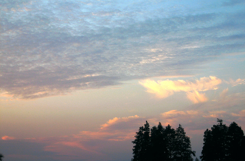img_2855_25.jpg