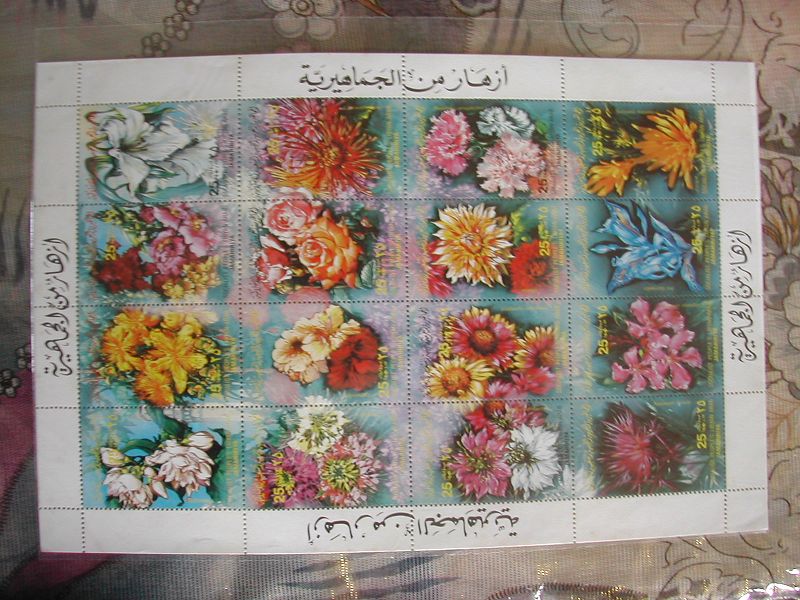dscn9172.jpg