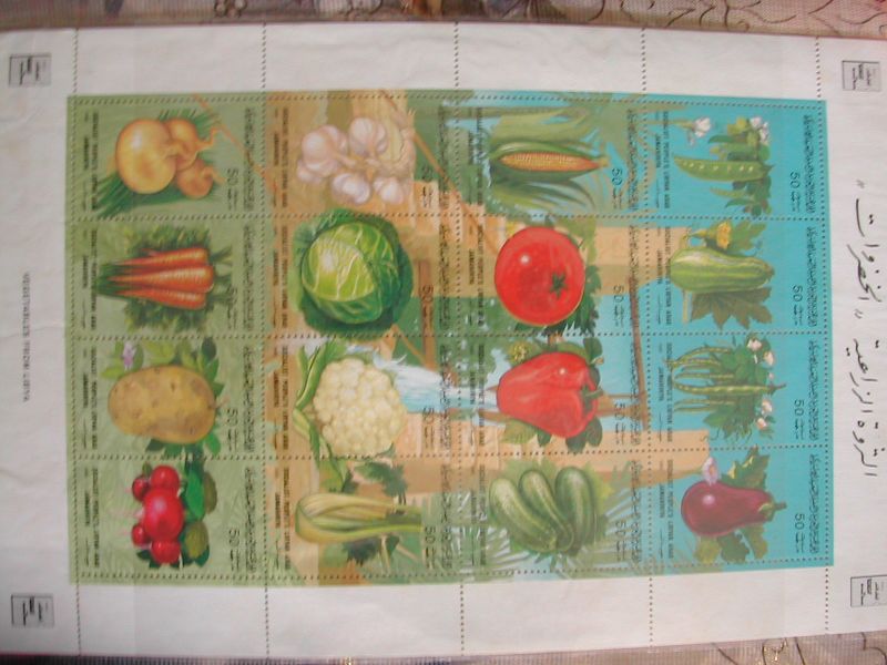 dscn9173.jpg