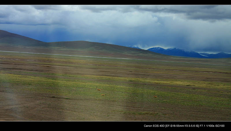 img_7191.jpg