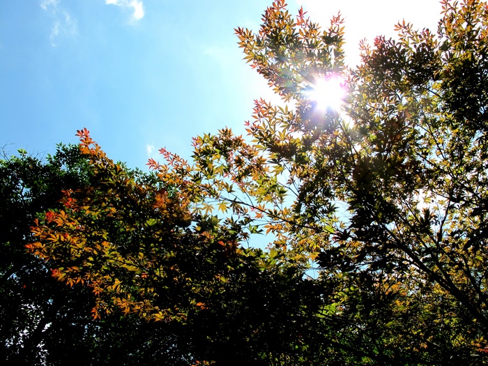 Ƭ 089.jpg