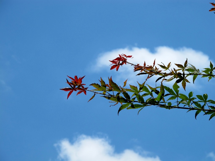 Ƭ 090.jpg
