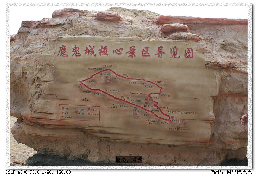 dsc08142.jpg