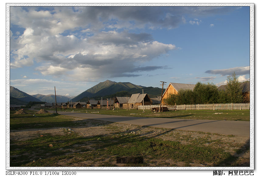 dsc08256.jpg
