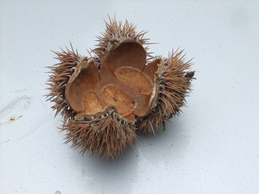 dscf1211.jpg