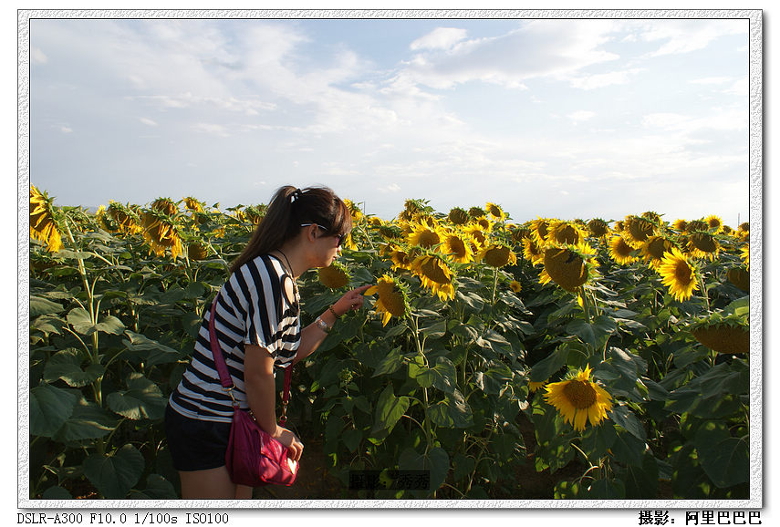 dsc08756.jpg