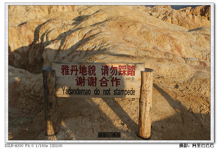dsc08782.jpg