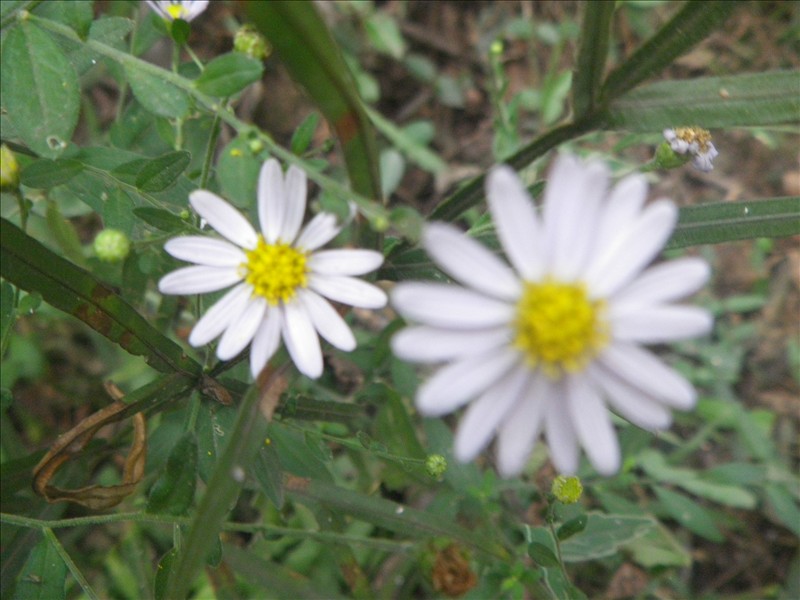 imgp1743.jpg