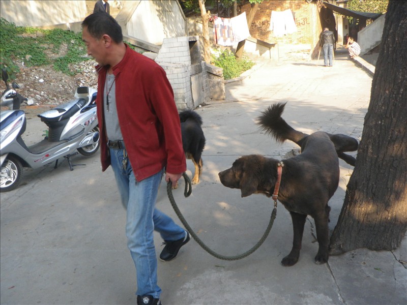 imgp1809.jpg