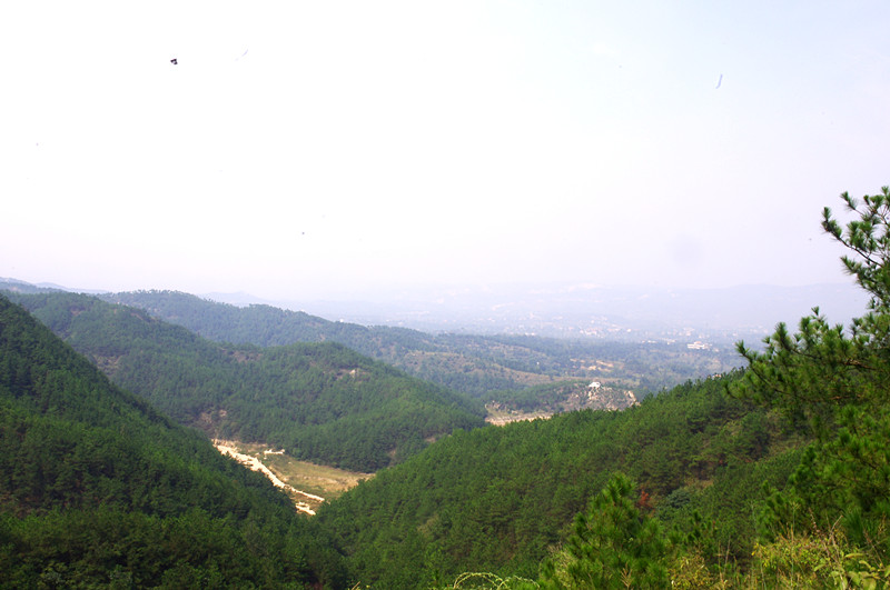 imgp3487_.jpg