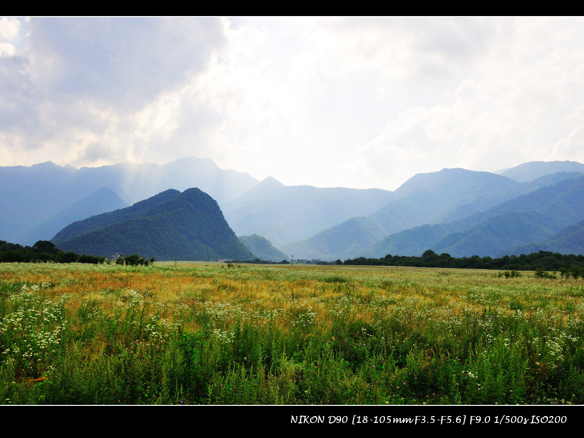 dsc_0015_01.jpg