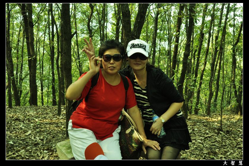neo_img__dsc0705.jpg