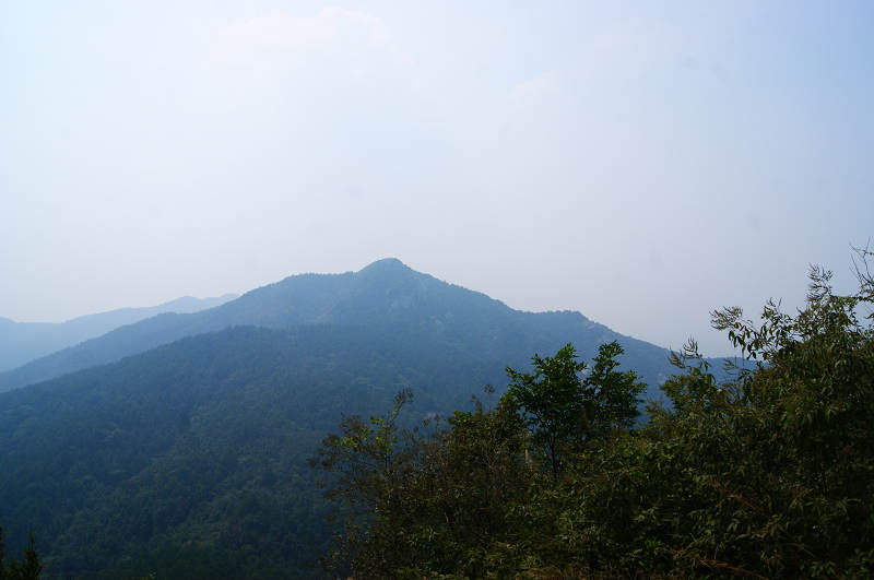 dsc09409.jpg