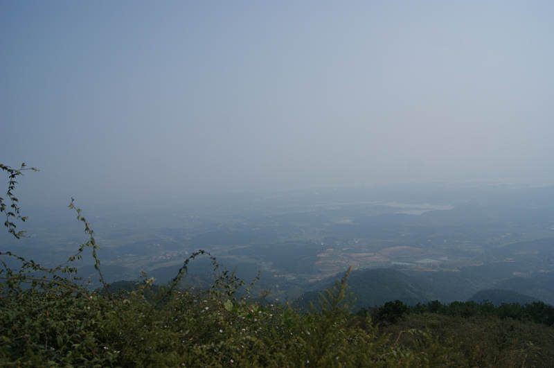 dsc09407.jpg
