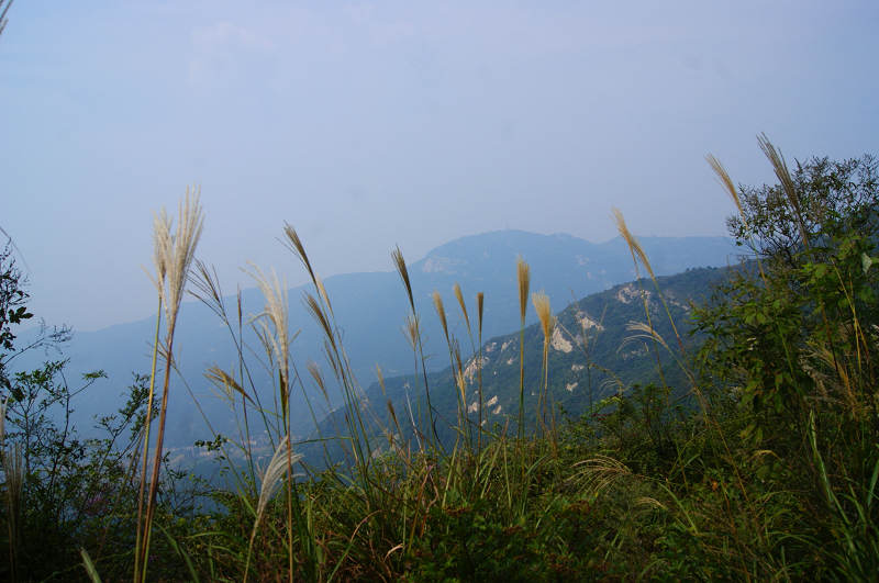 dsc09427.jpg