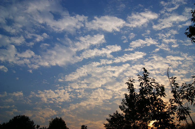 dsc09474.jpg