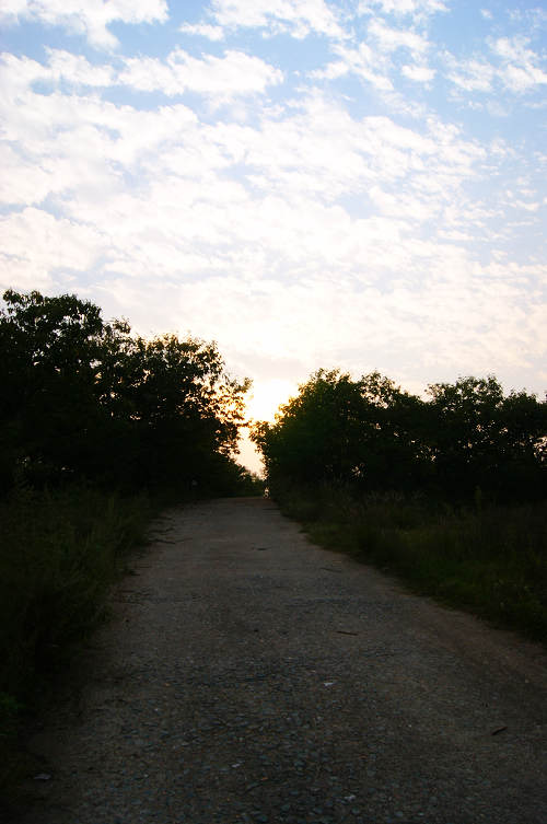 dsc09476.jpg