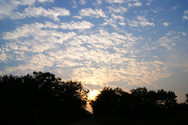 dsc09475.jpg