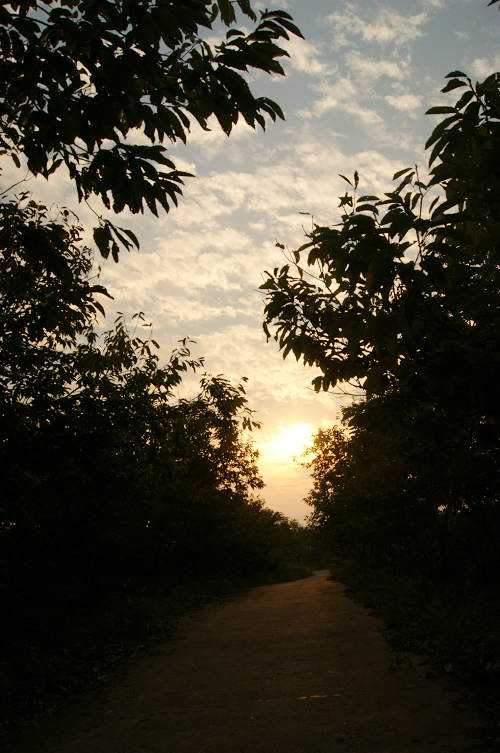 dsc09480.jpg