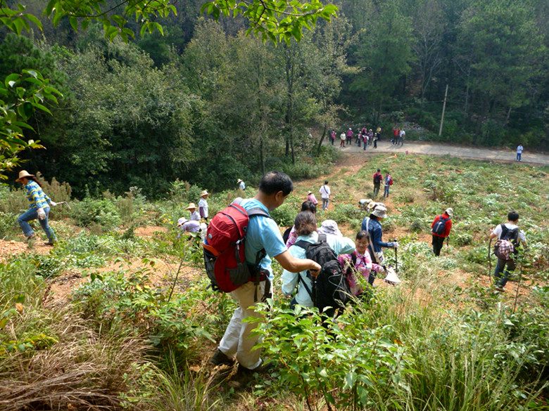 p1080174_.jpg