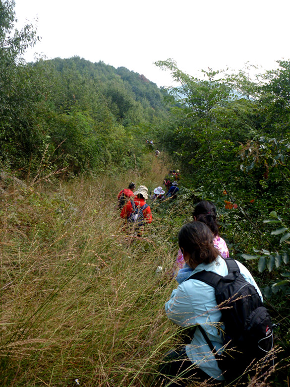 p1080179_.jpg