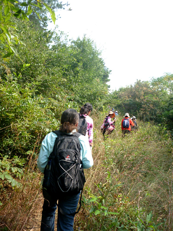 p1080178_.jpg