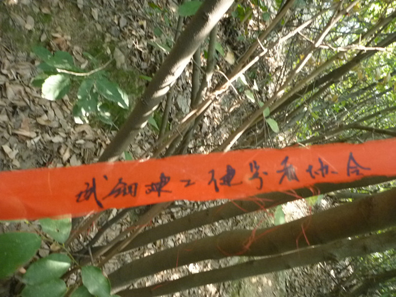 p1080180_.jpg