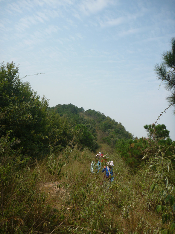 p1080182_.jpg