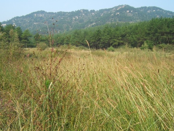 dscf4746.jpg