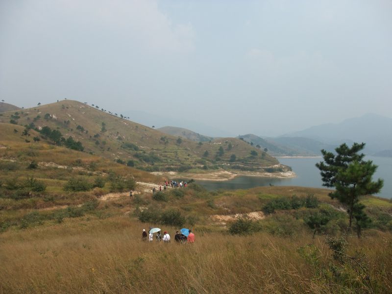 Ů 876.jpg