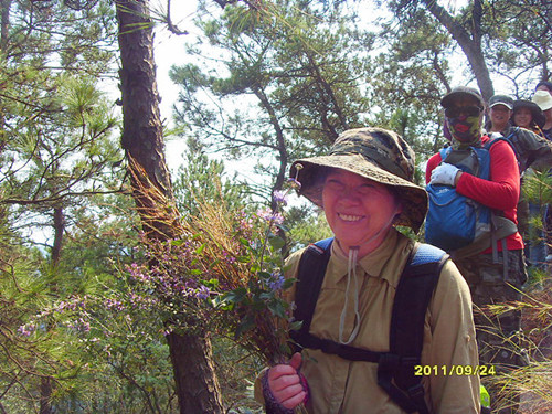 sdc12825___.jpg