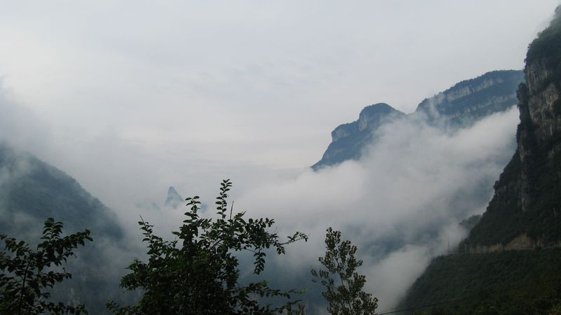 neo_img_img_0004.jpg