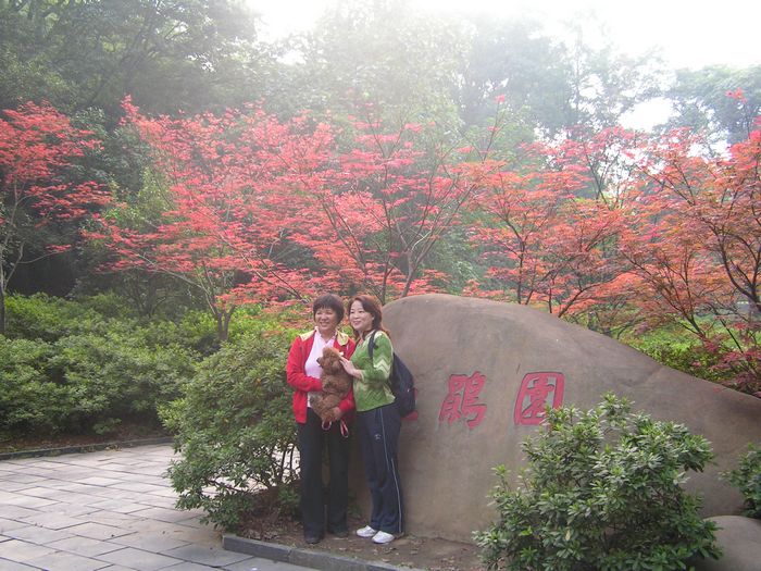 ţ-1.jpg