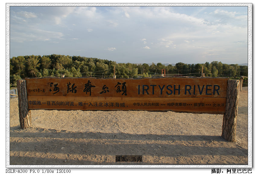 dsc08804.jpg